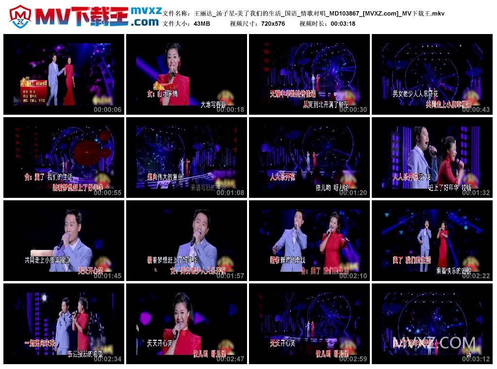 王丽达_汤子星-美了我们的生活_国语_情歌对唱_MD103867